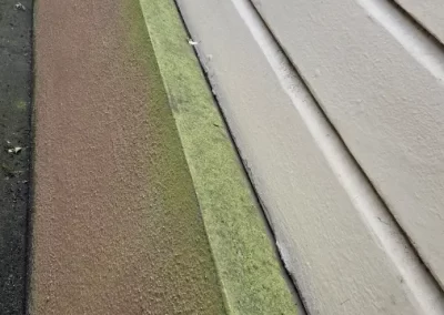 Local Exterior and Window Washing Services