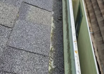 Local Gutter and Window Cleaning Service