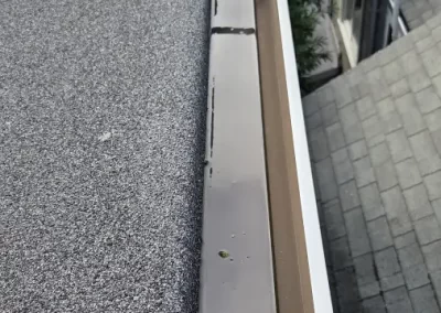 Local Gutter and Window Washer