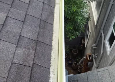 Roof and Gutter Cleaning Services
