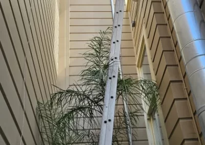 Trusted Exterior and Window Washing Services