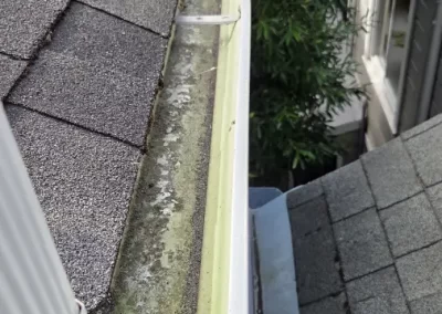 Trusted Residential Window Cleaning